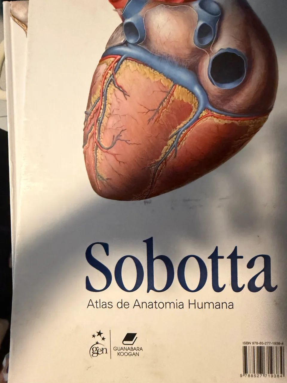 Livro Sobotta 3 Volumes 