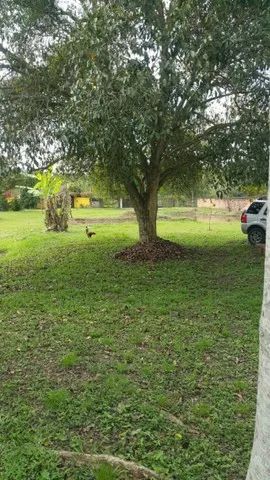 Terreno em Guapimirim - Foto 5