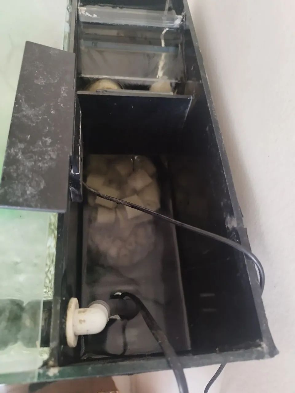 Aquário  - Foto 4