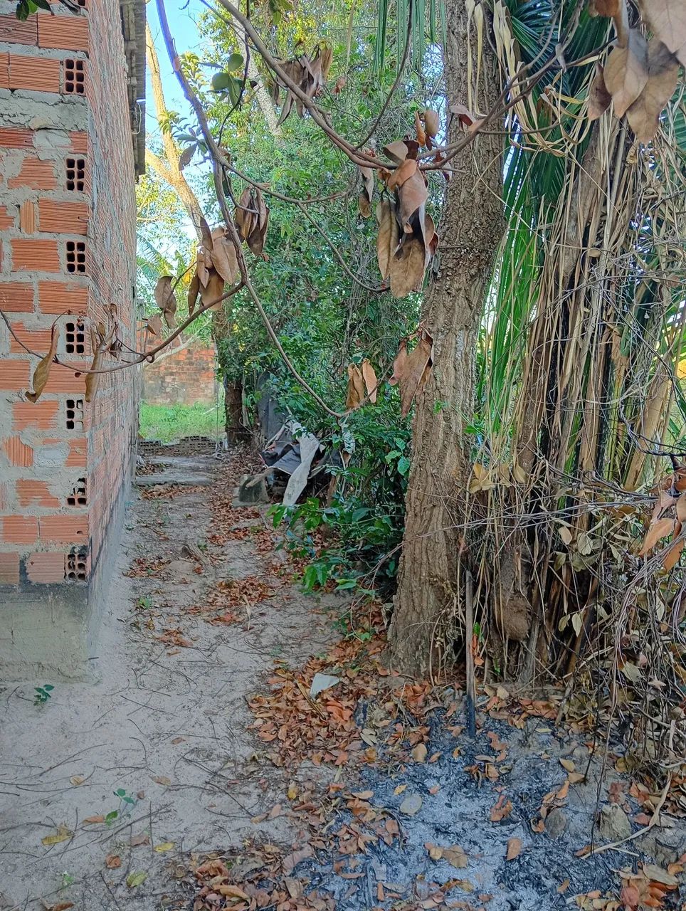 Casa valor 50 mil preço único  - Foto 4