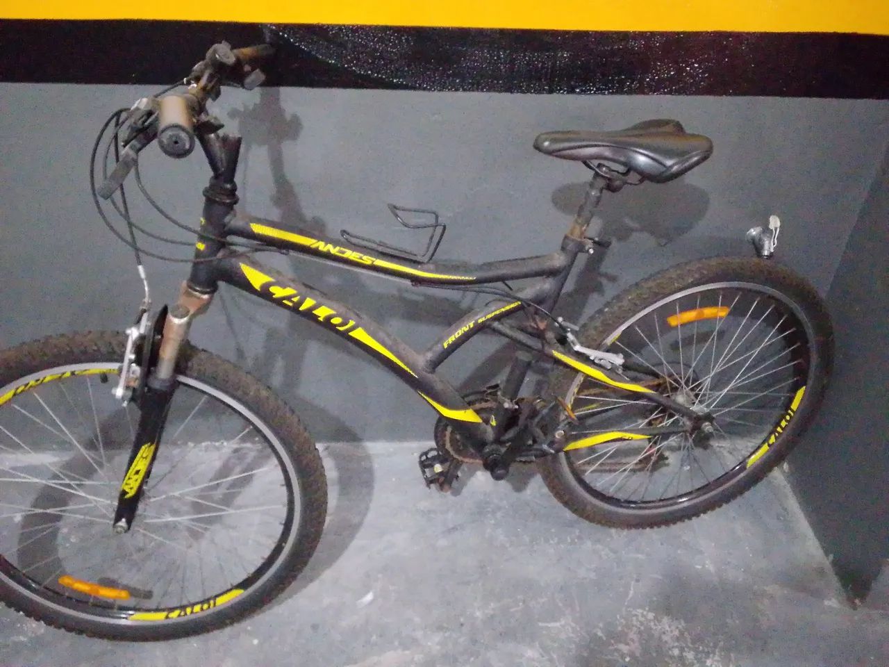 Bicicleta 