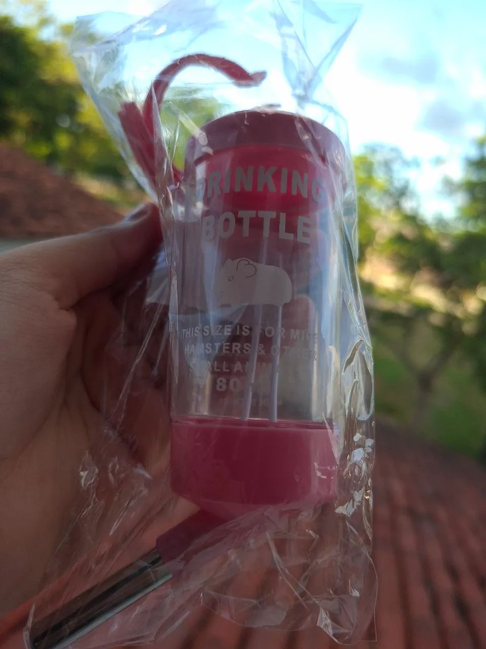 Bebedouro para Porquinho da Índia e Hamster - Foto 2