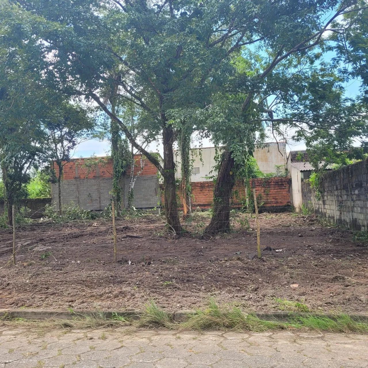 Foto - Peruíbe - 