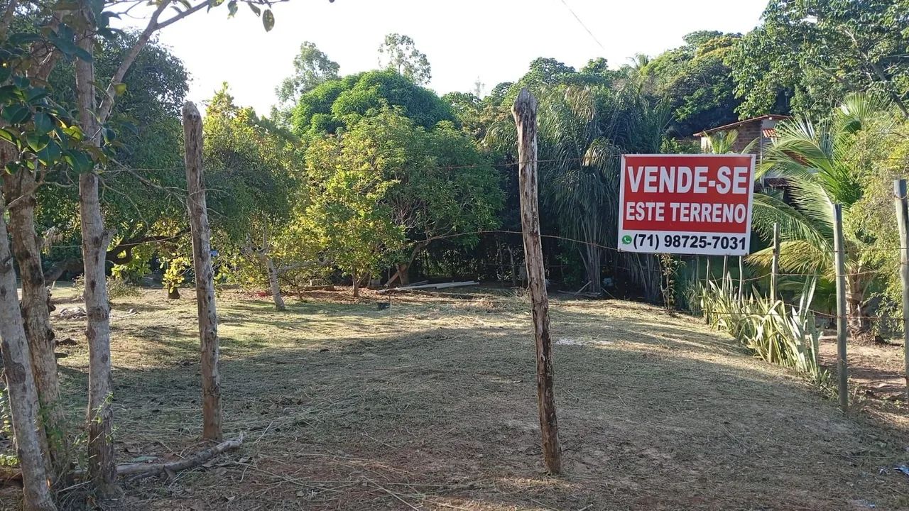 Foto - Mata de São João - Imbassaí