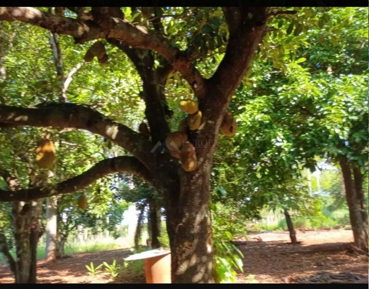 Chácara à Venda Excelente Oportunidade<br> - Foto 3