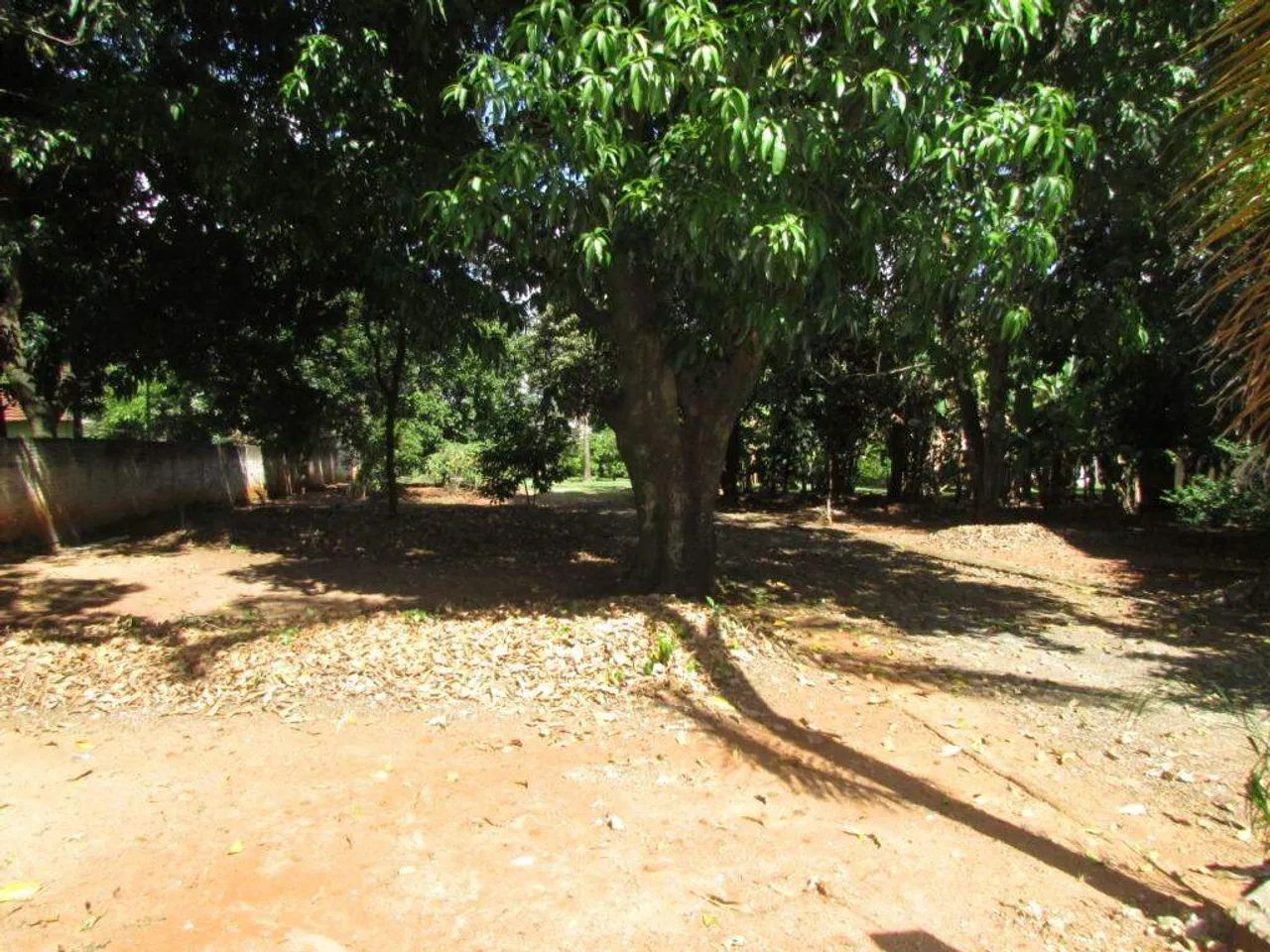 Área à venda, 43300 m² - Campestre - Piracicaba/SP - Foto 3