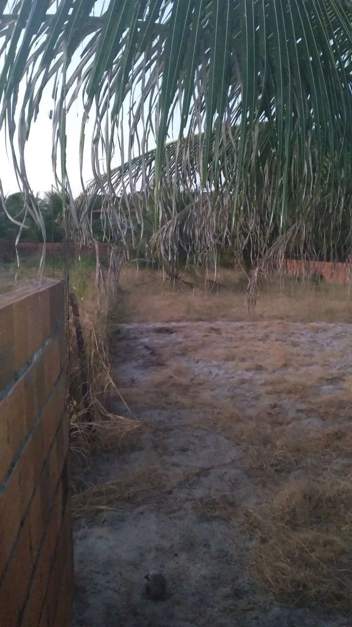 Terreno/mini sitio
