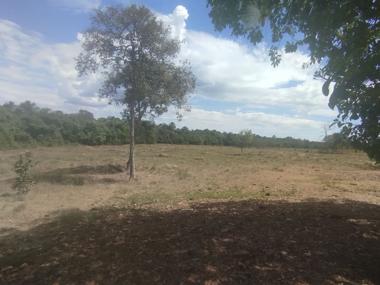 Chácara  - Foto 2