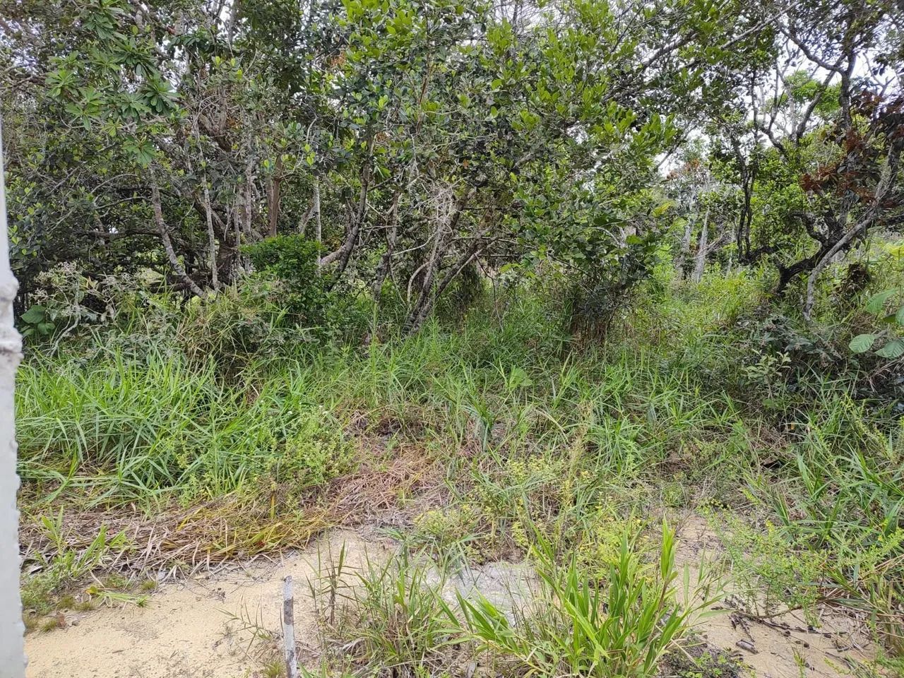 Terreno Villas I - Teko Porã - Foto 4