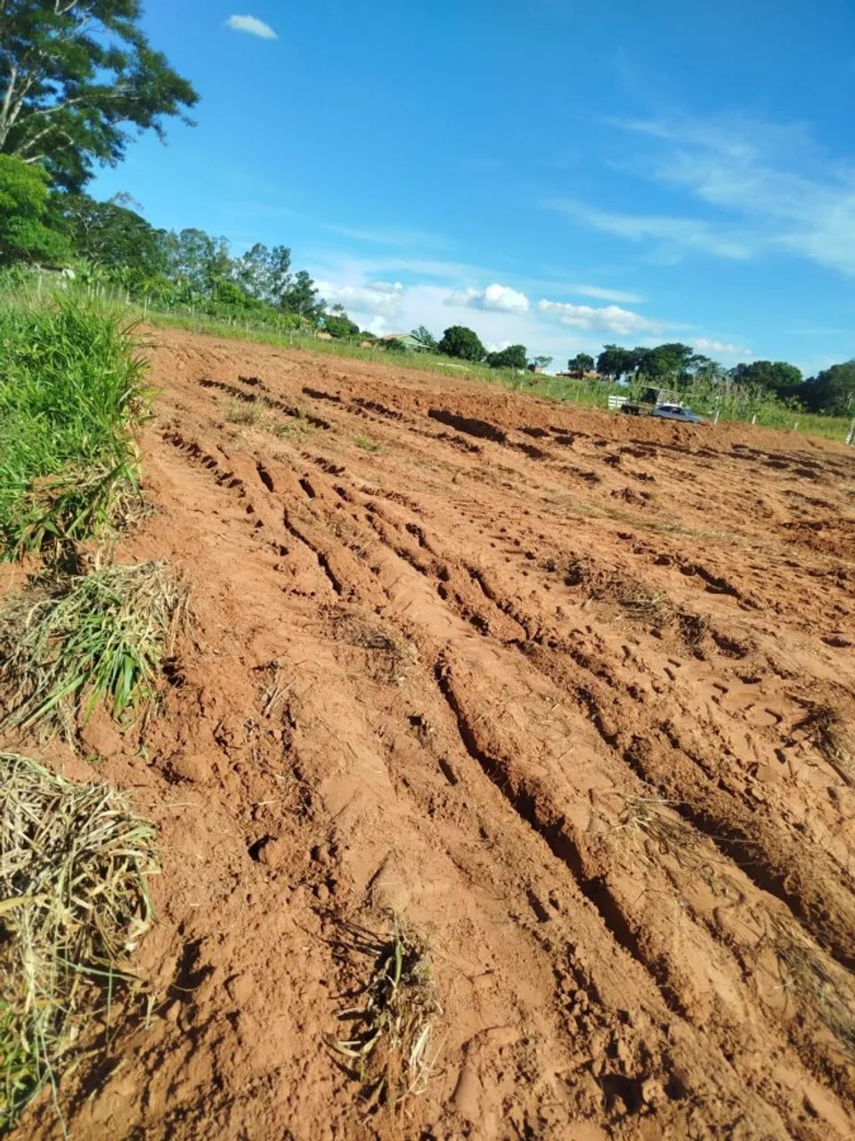 Chácara para Venda, MONTALVÃO, 4 dormitórios, 2 banheiros - Foto 12