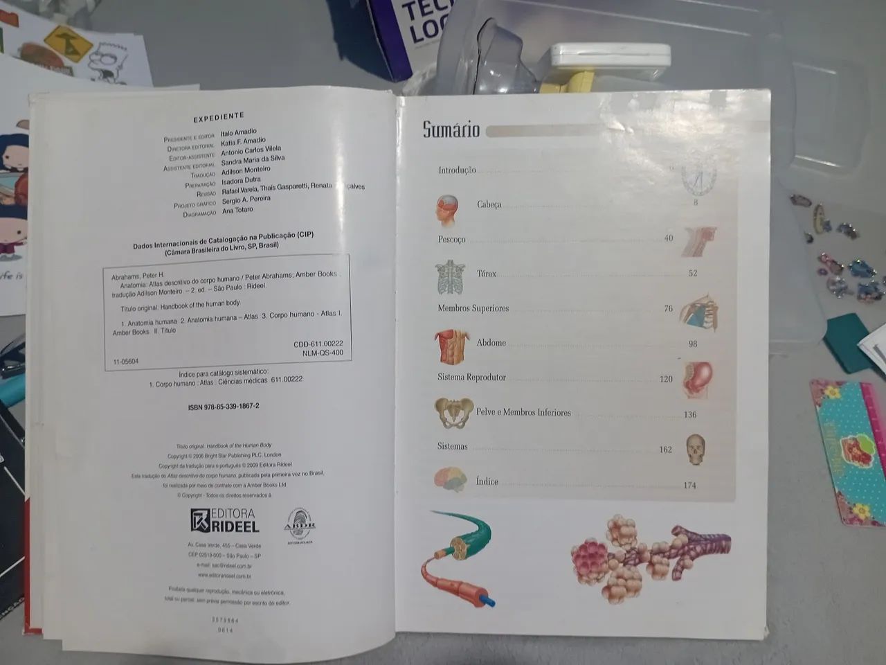 Livro de anatomia  - Foto 4