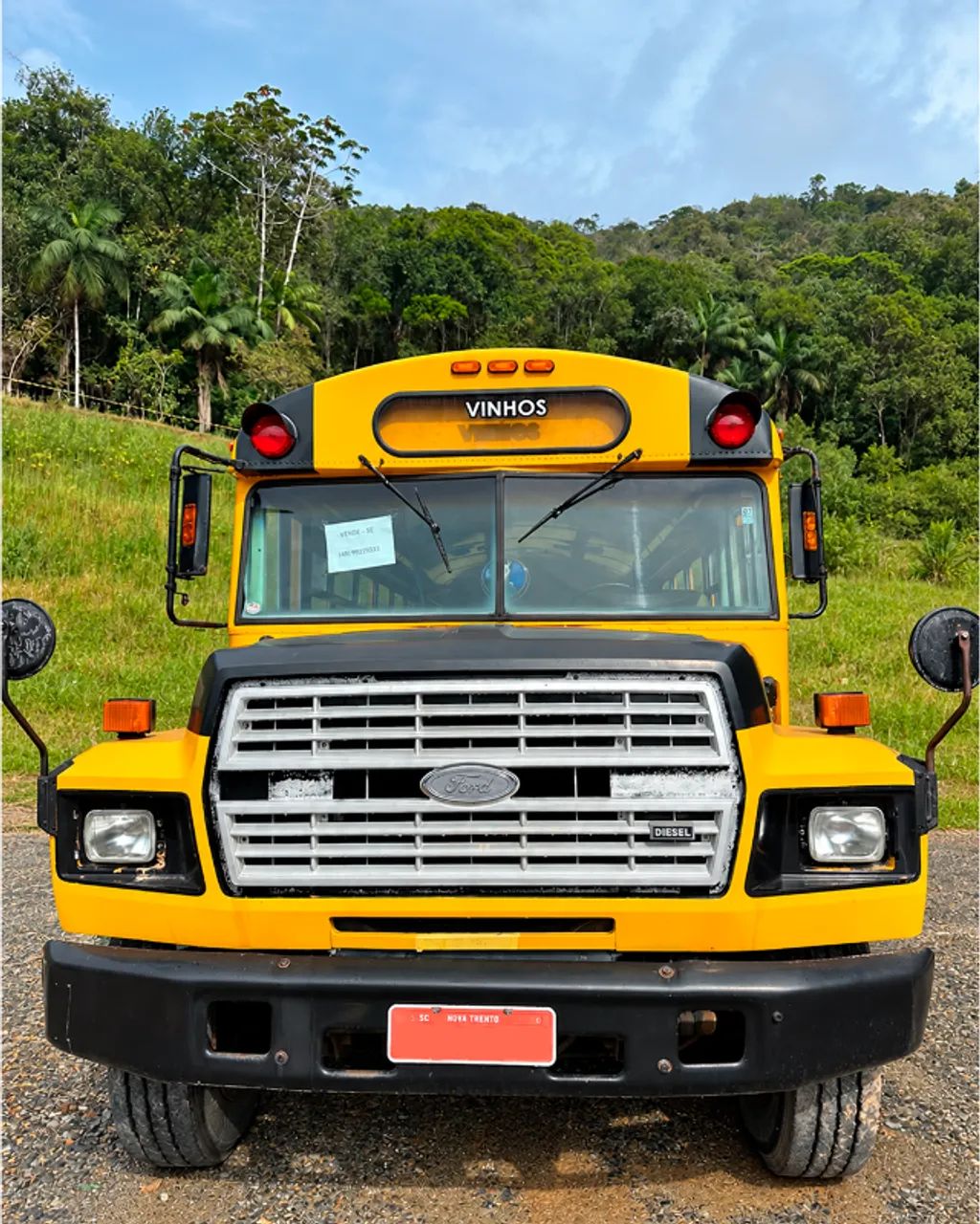 Ônibus Ford B700 - estilo school bus - Nova Trento/SC