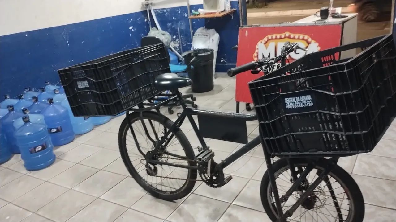 Bicicleta cargueira 