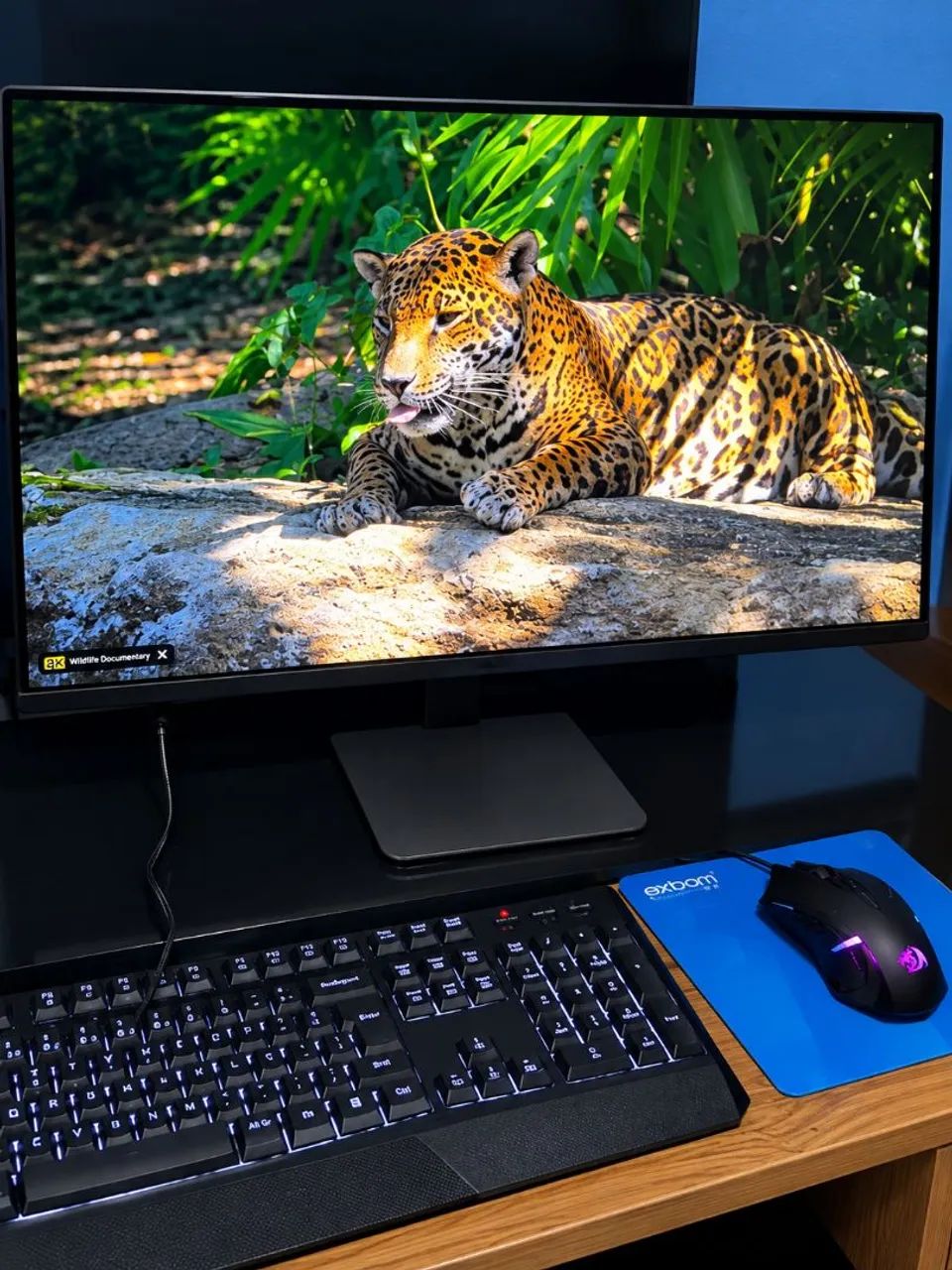 Monitor LG Ultra Gear 24 144Hz - Foto 3