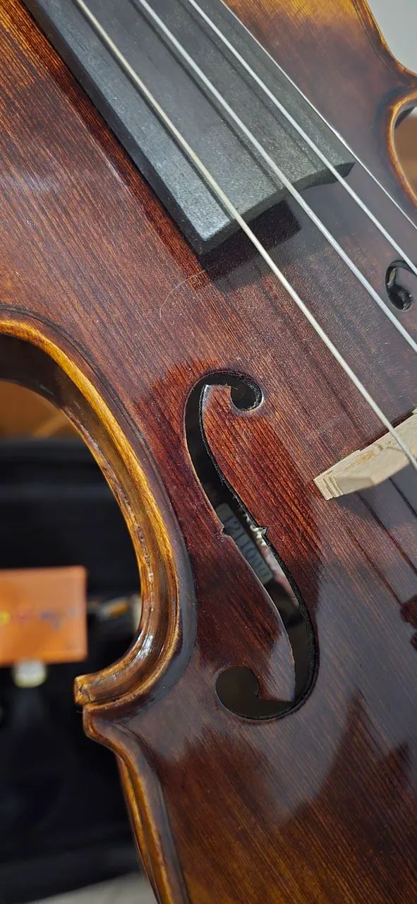 Violino Eagle Vk544 - Foto 3