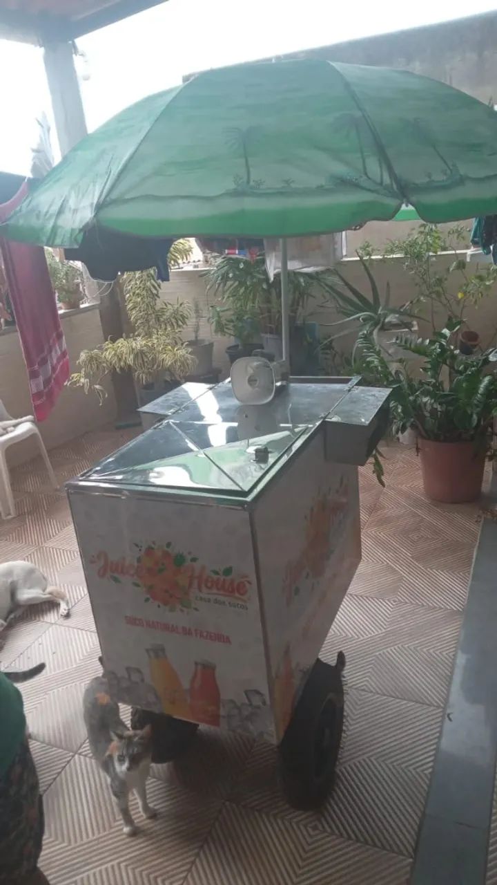 Carrinho de Açaí, Picolé, Sorvete e Bebidas - Com placas de Gelo - Foto 2