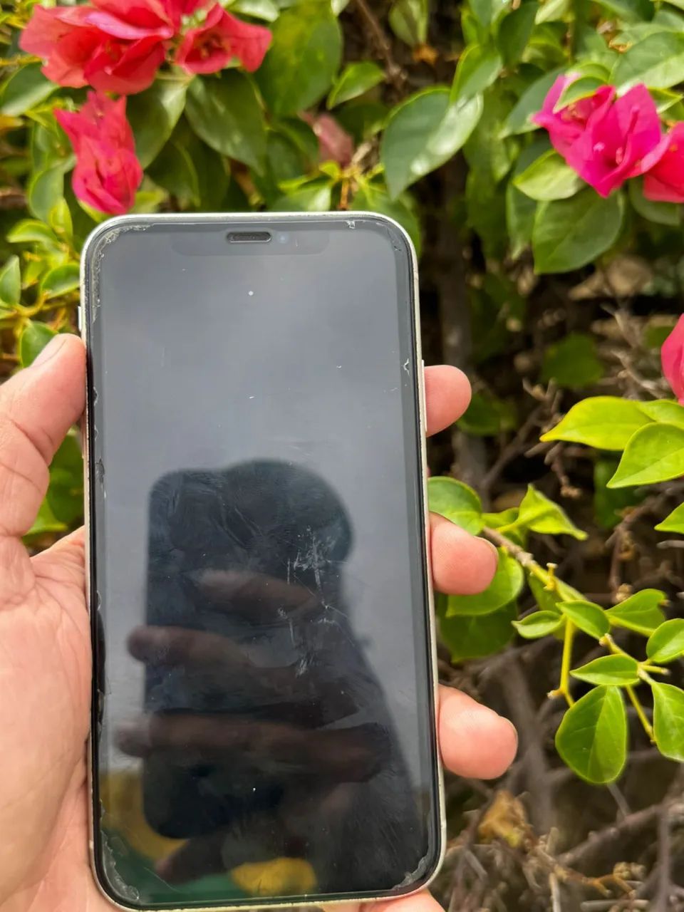 iPhone 11 - Foto 5