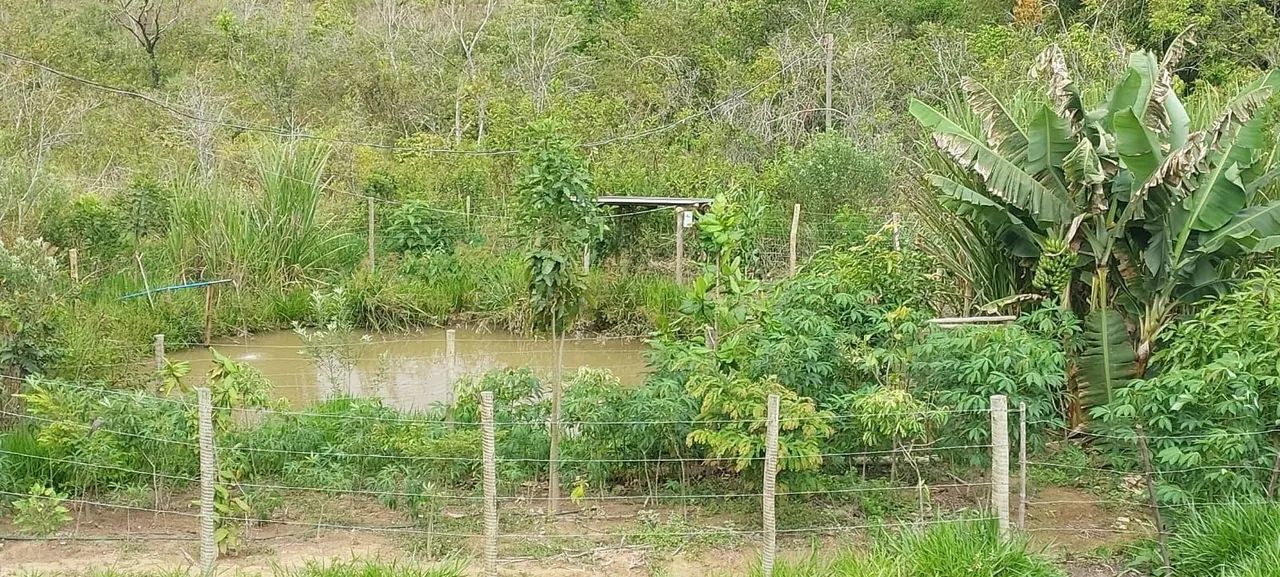 Casa em área rural em itauna  - Foto 4