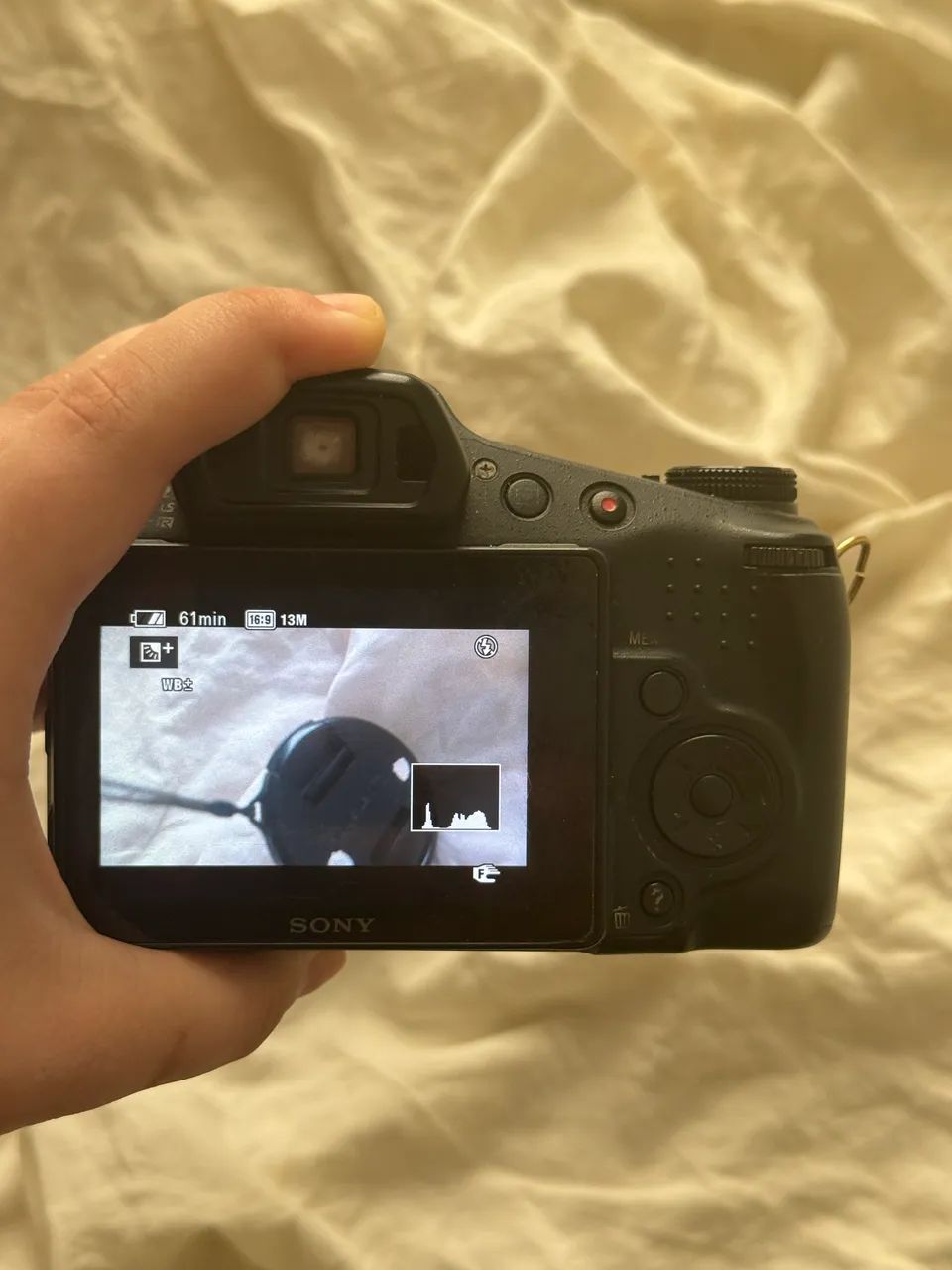 sony hx100v