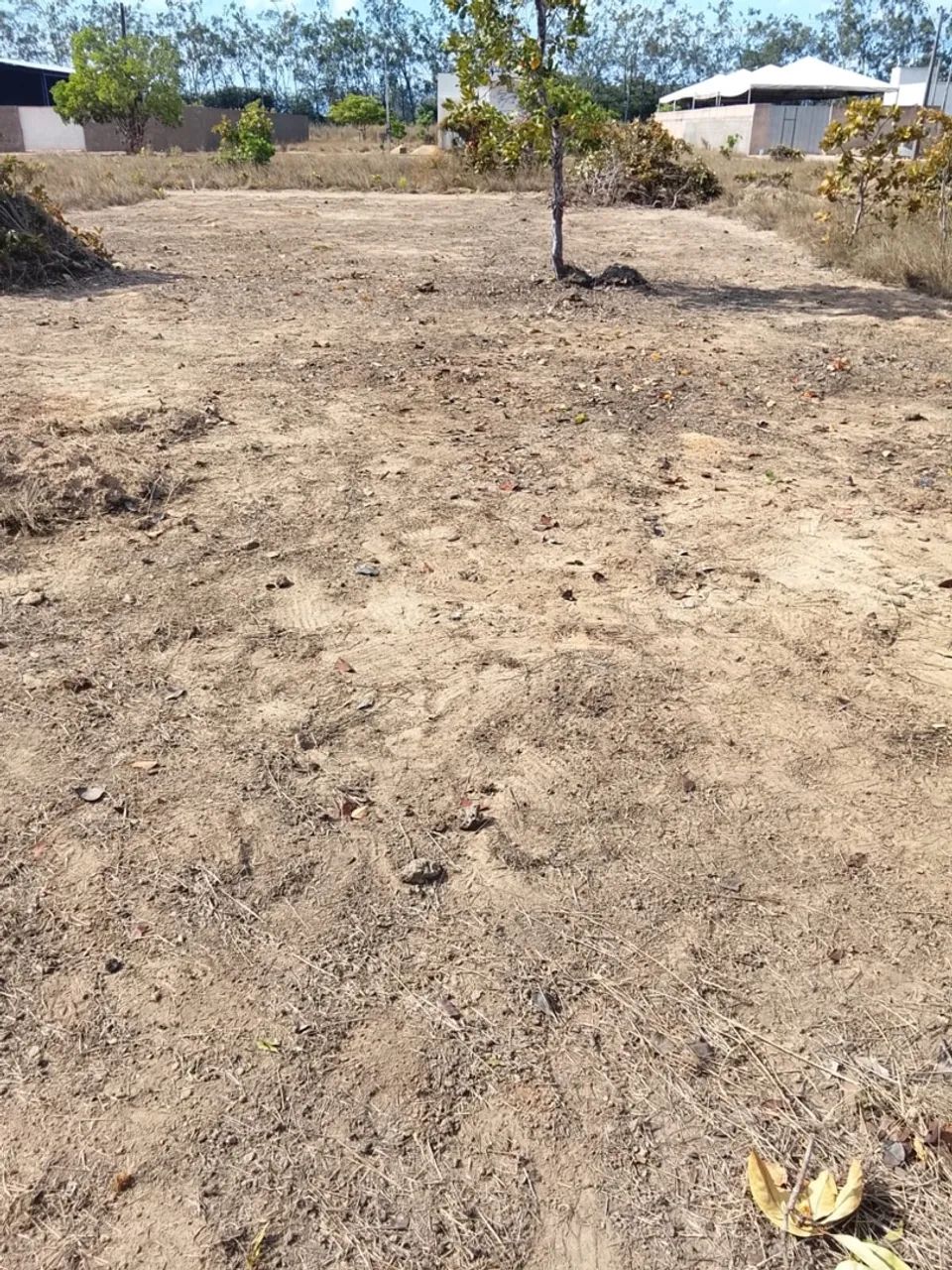 Terreno  - Foto 2