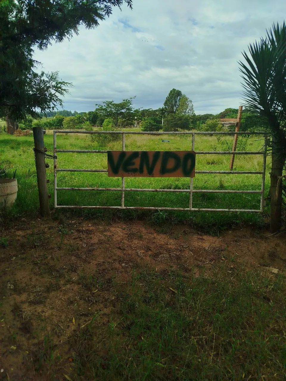 Foto - Álvares Machado - 