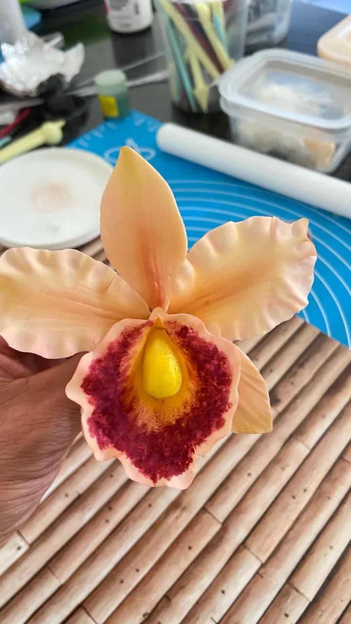 Topos de bolo  - Foto 2