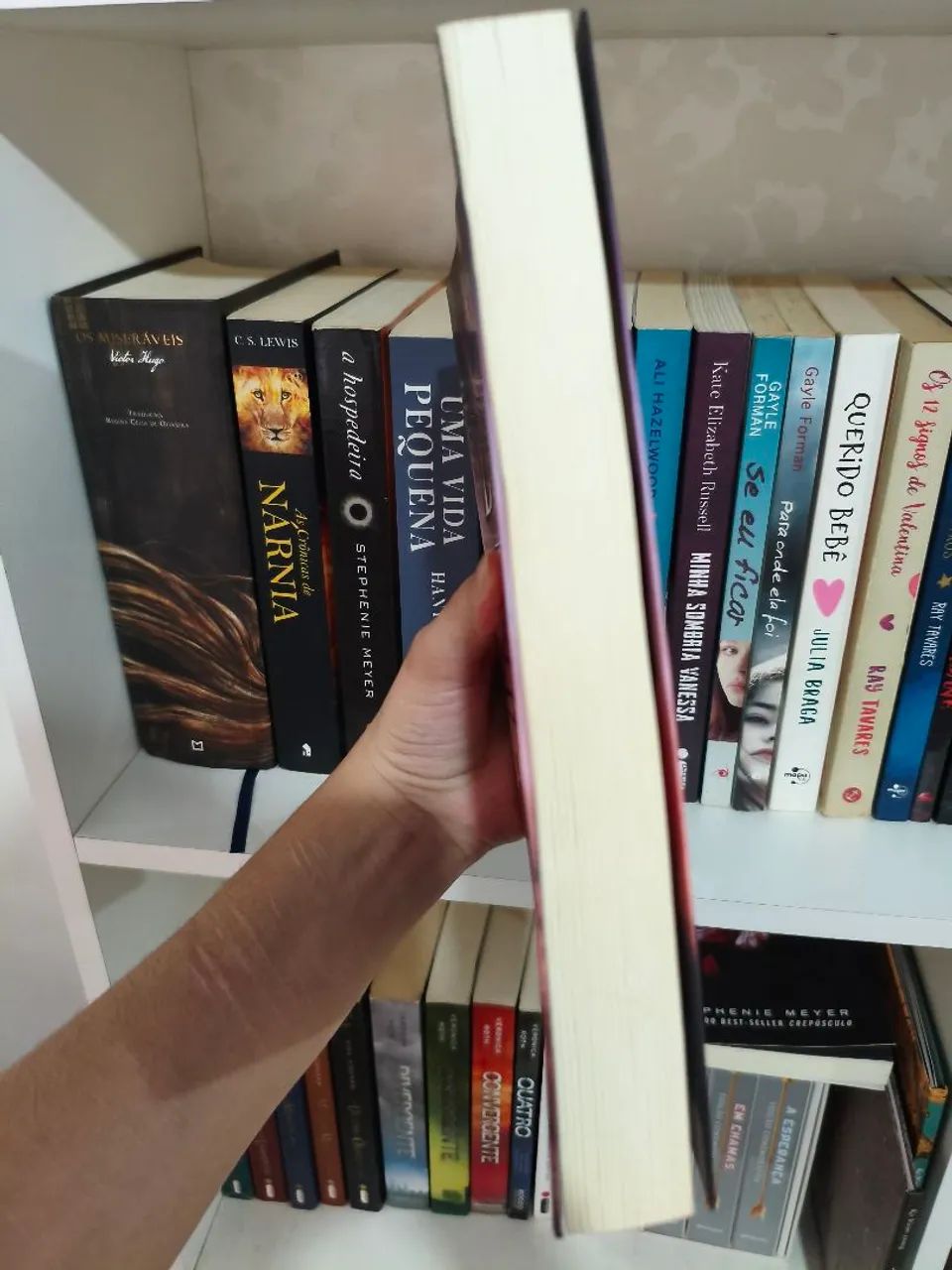 O rei das docas - Foto 3
