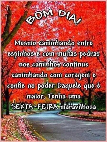 Disponível 