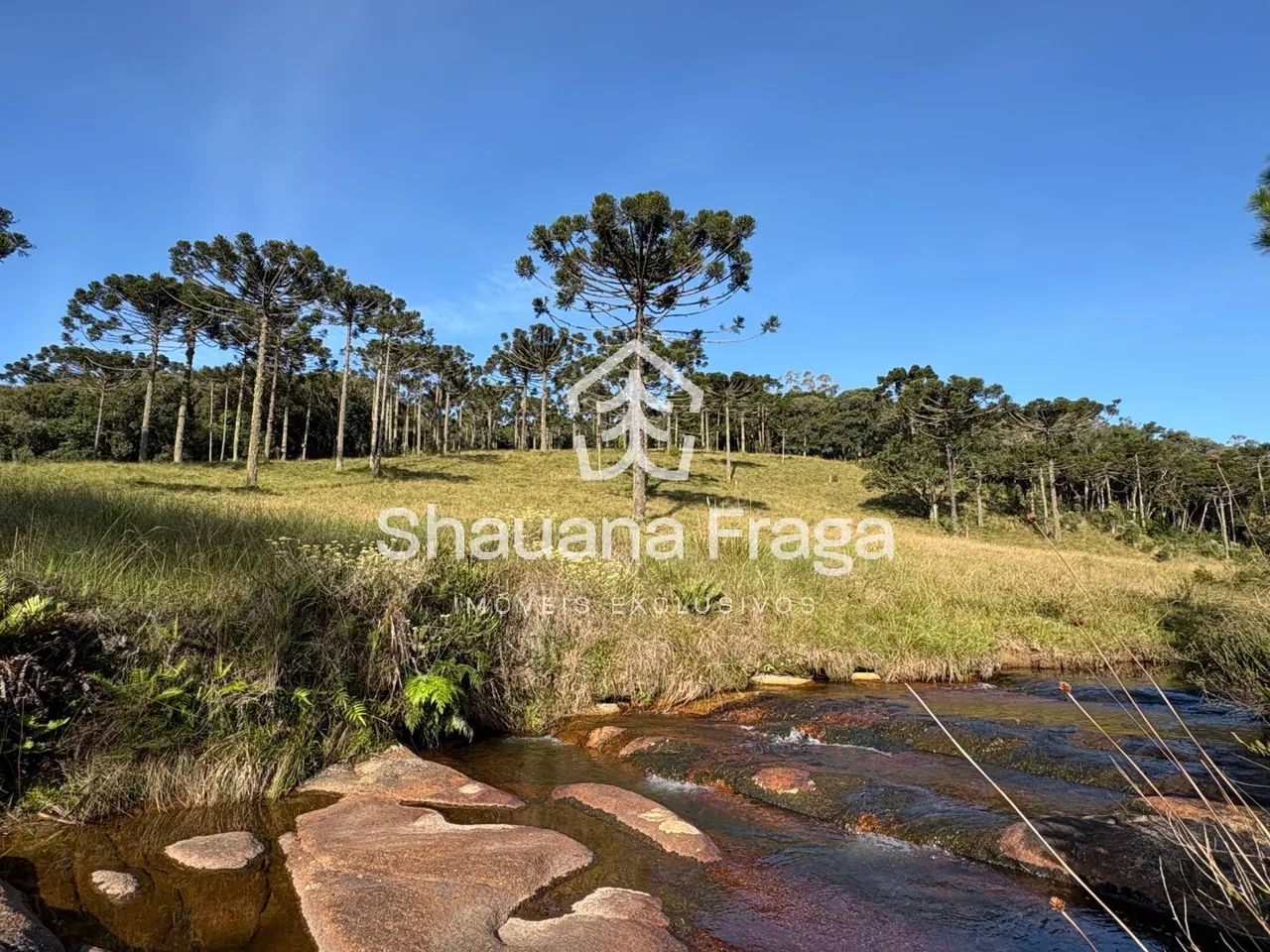 TERRENO RURAL em RANCHO QUEIMADO - SC, Queimada Grande - Foto 3