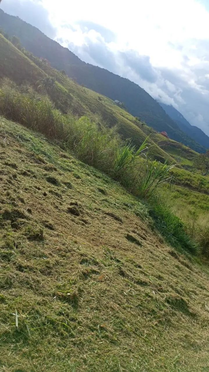 Chácara  - Foto 2