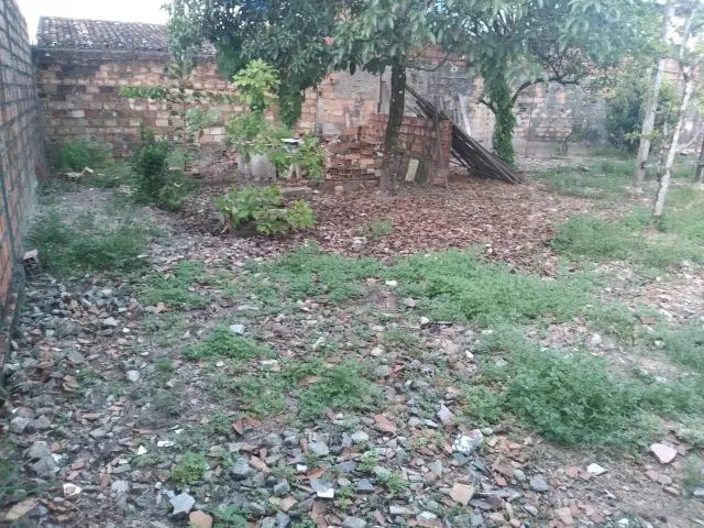 casa com terreno grande - Foto 4