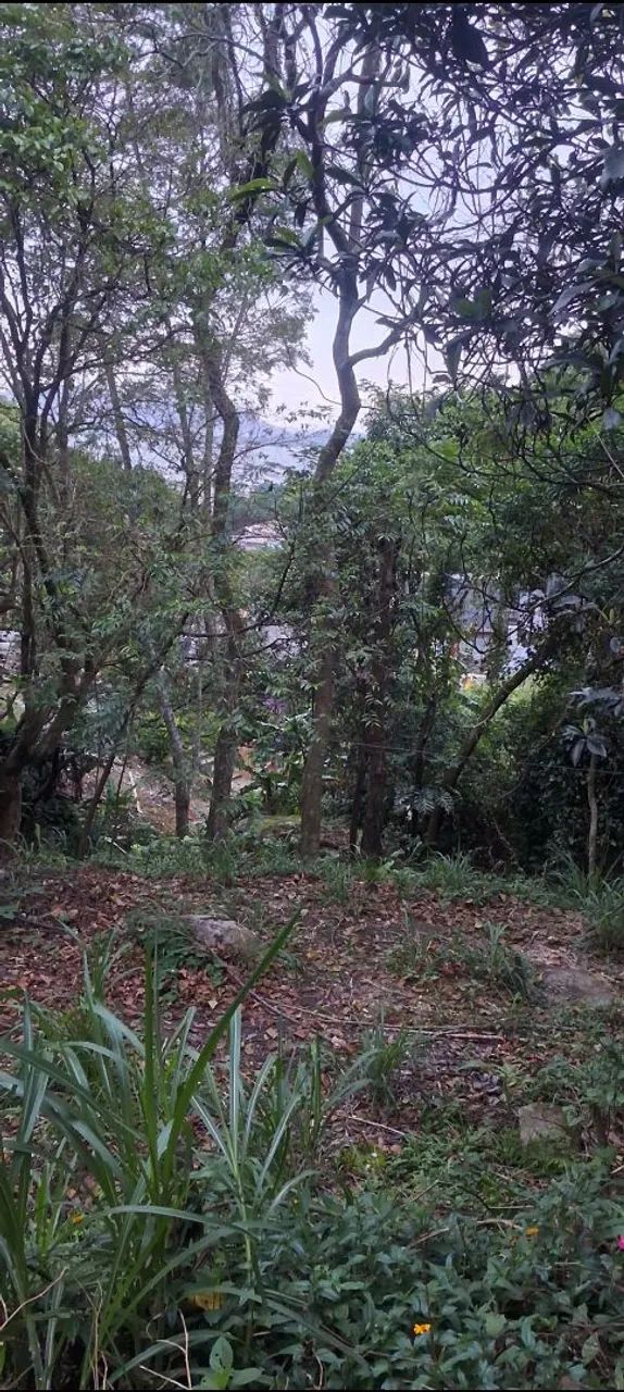 Vende-se Terreno 10x18 no saco dos limoes - Foto 4