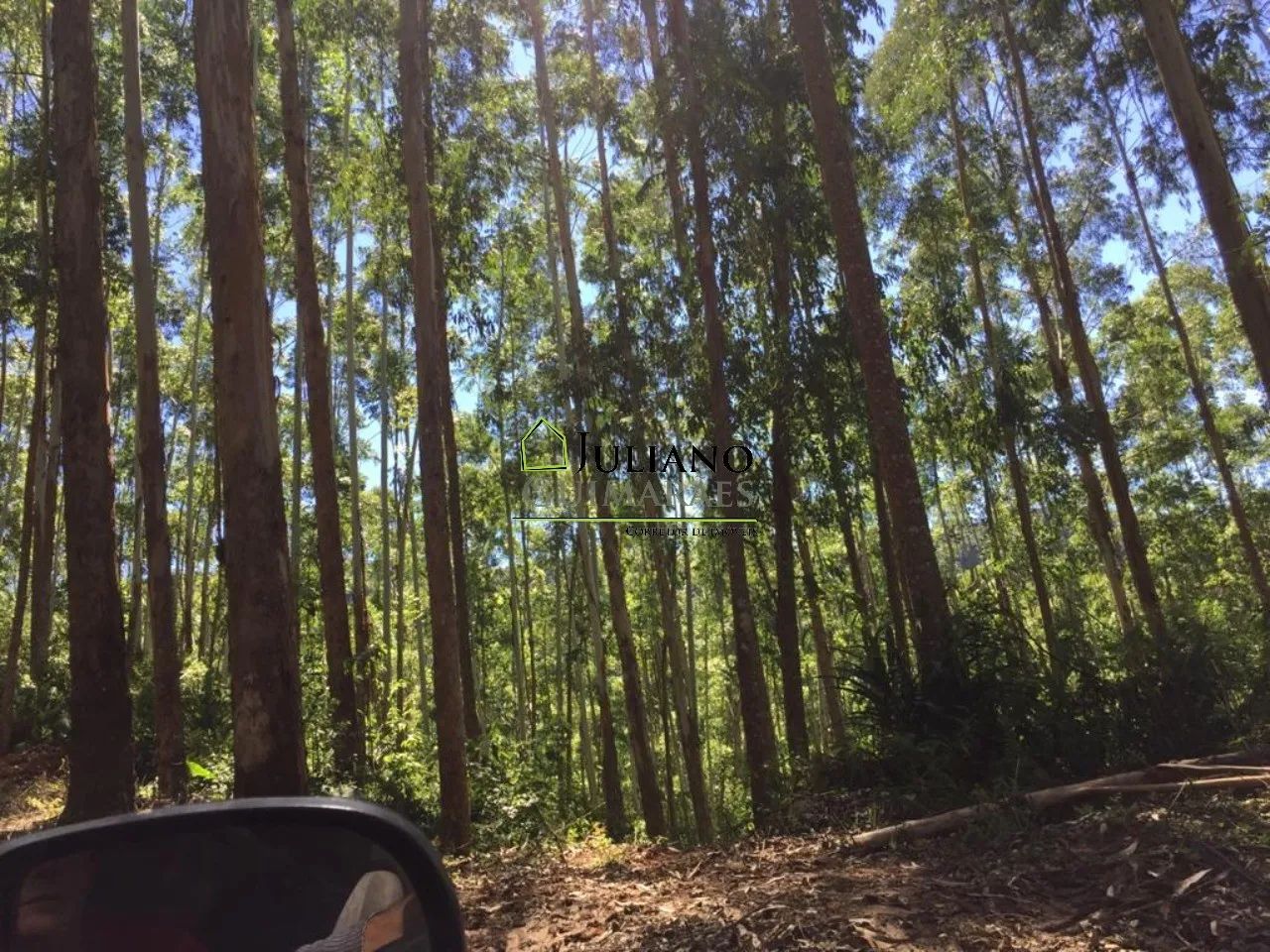 TERRENO À VENDA, em LEOBERTO LEAL - SC - Foto 4