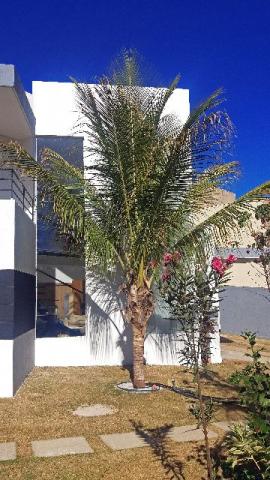Jardim botânico, casa condominio, linda - Foto 8