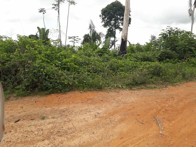 Vendo ou troco em carro 2 alqueires de terra - Foto 4
