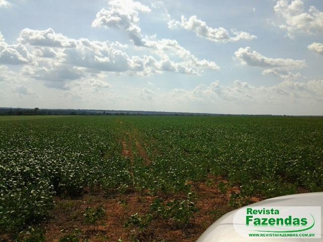 Fazenda 730 Há 480 Há Plantando Soja/Milho Entrada + 09 Pagamentos Norte MT - Foto 5