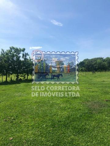 Exelente Fazenda no Municipio De Cuiabá - Foto 12
