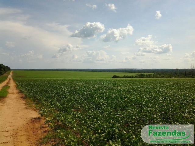 Fazenda 730 Há 480 Há Plantando Soja/Milho Entrada + 09 Pagamentos Norte MT
