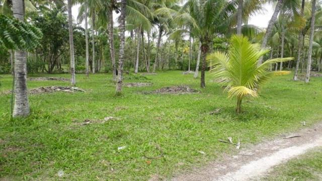 Terreno à venda em Centro, Cairu cod:55951 - Foto 13
