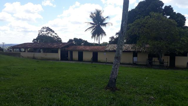 Fazenda em Mata de São João. BA - Foto 11
