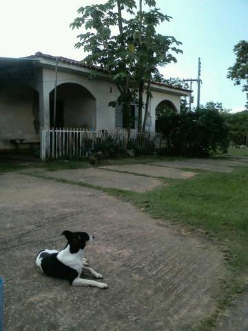 Estancia Casa Rosada 8 hectares - Foto 12