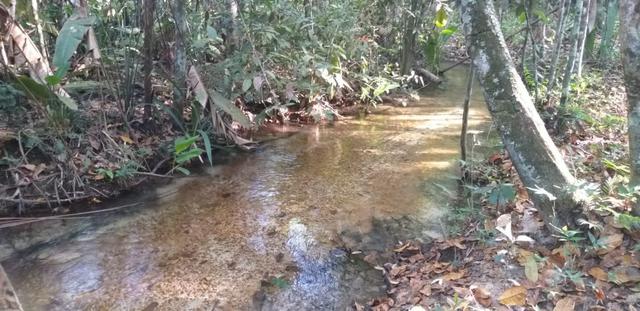 Vendo Chácaras a 15 km de Nova MUTUM - Foto 3