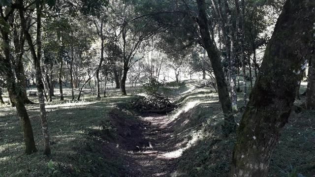 Chácara em almirante Tamandaré - Foto 2