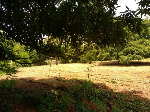Chácara - Parque das Flores - Foto 12