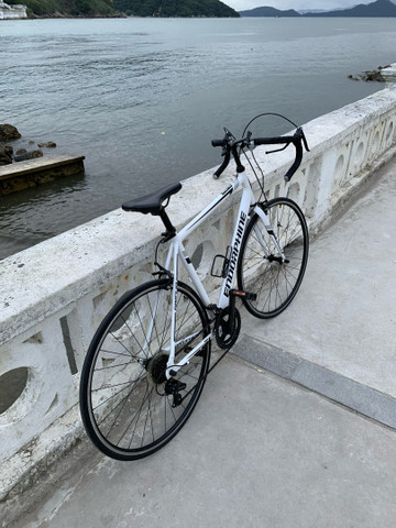 bike endorphine fast 10