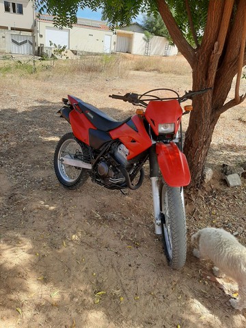 TORNADO 2008 TODA BOA, EM DIAS