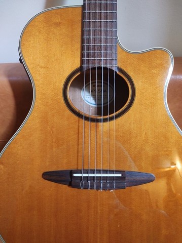 yamaha apx 5 nylon