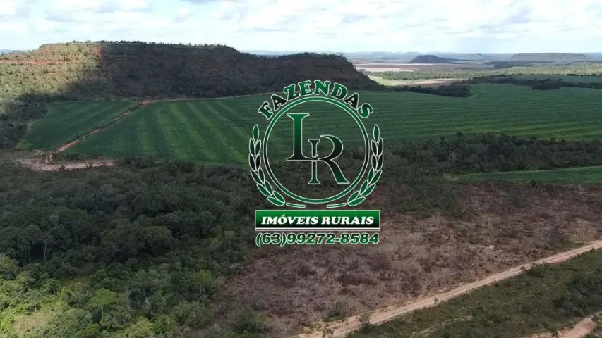 Fazenda Arrendamento Lavoura Tocantins