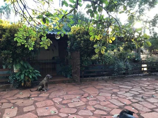 VENDO CHÁCARA EM ABADIANIA COM RIBEIRÃO  - Foto 6