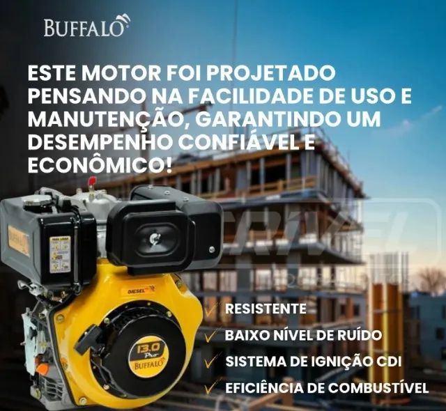 MOTOR Estacionário BFDE 13.0CV c/ PARTIDA ELÉTRICA à Diesel - Foto 2